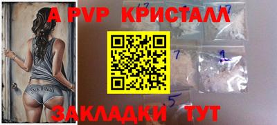 соль ск Кингисепп