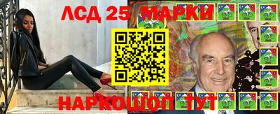 a pvp Кимры