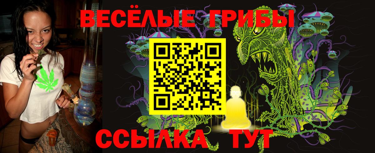 Псилоцибиновые грибы MAGIC MUSHROOMS Электросталь